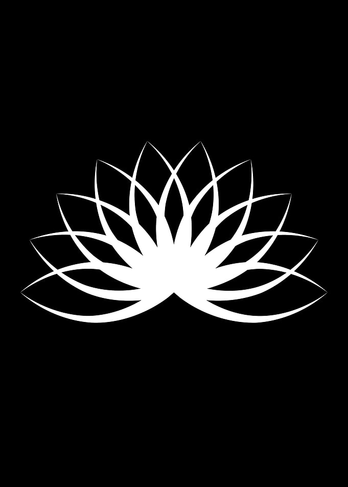 White Lotus Flower