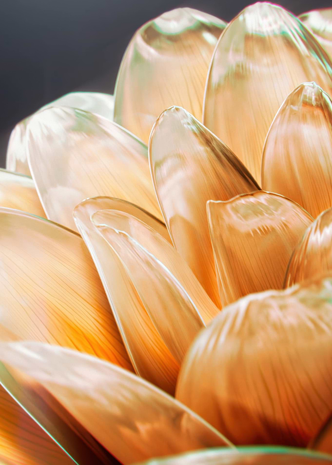 Abstract Golden Petals Close-Up