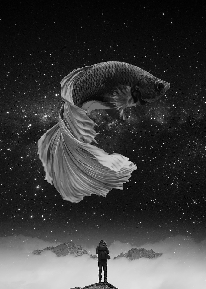 Surreal Betta Fish in Starry Sky