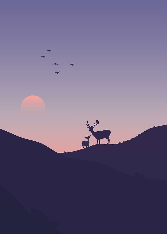 Deer Silhouette Landscape at Sunset