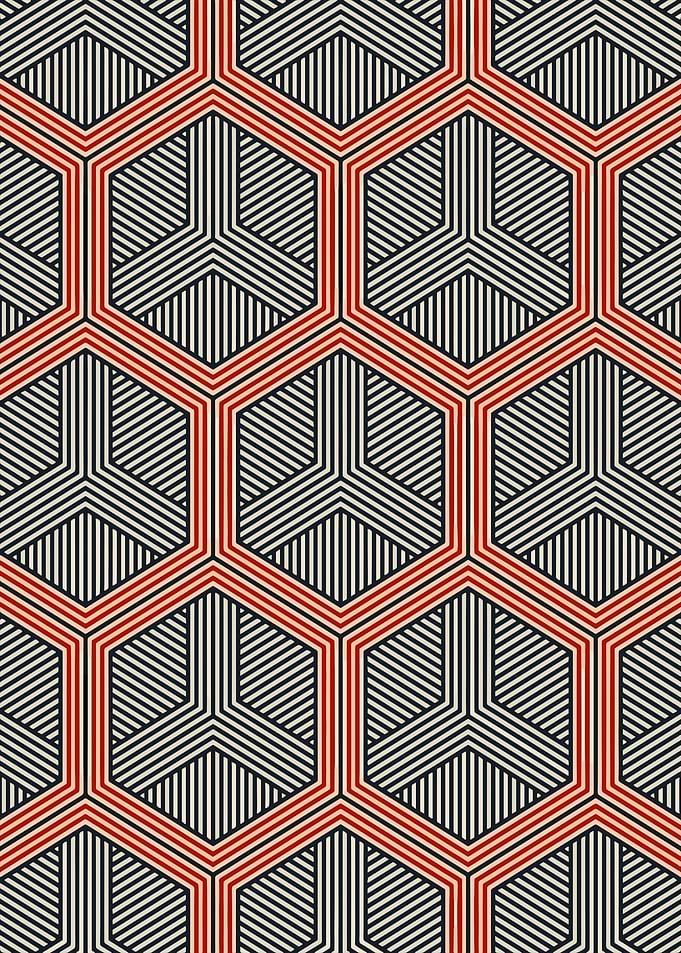 Geometric Hexagon Pattern with Lines