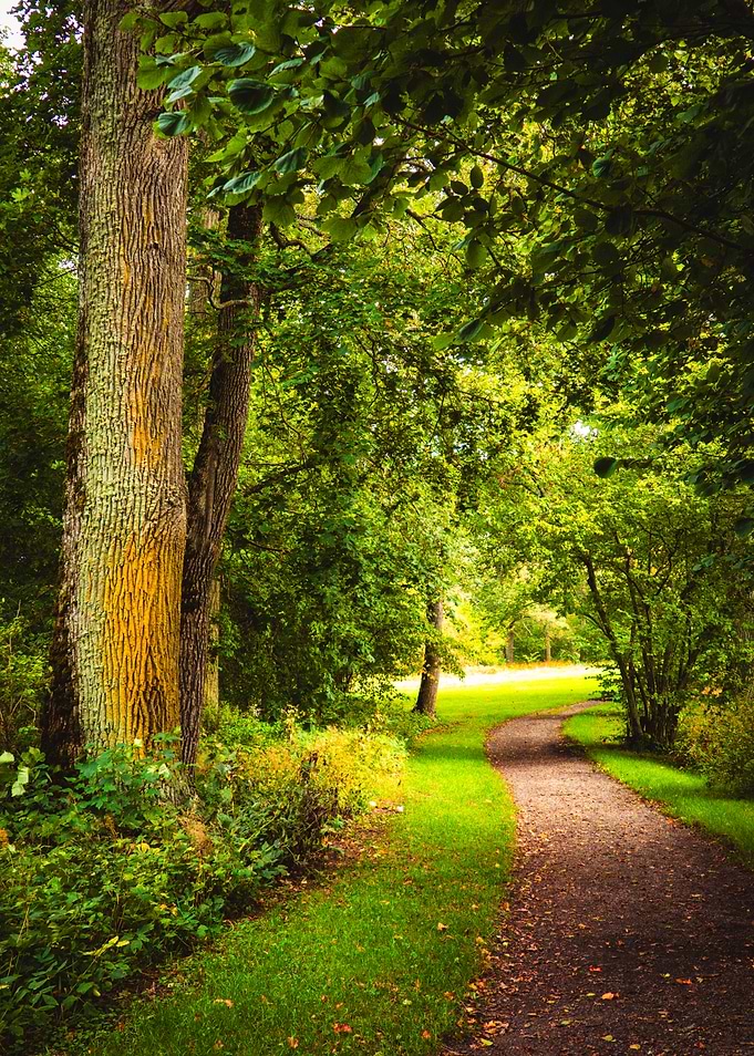 Path through lush summer greenery at Strömsholm, Sweden