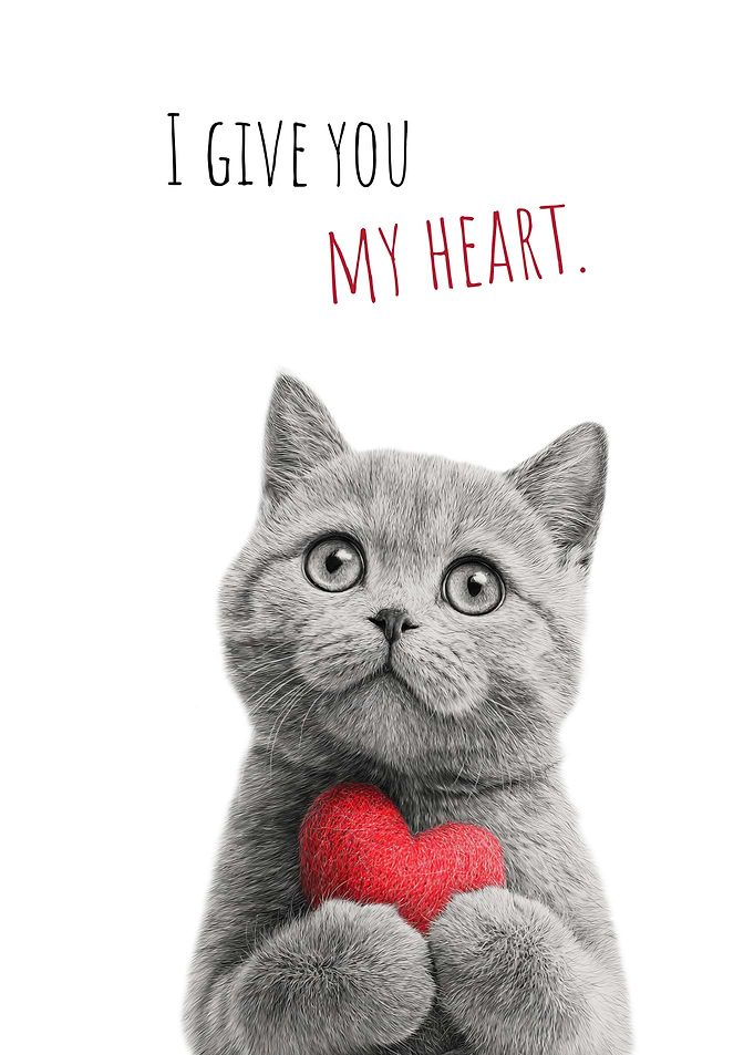Cat with Heart Valentine's Day