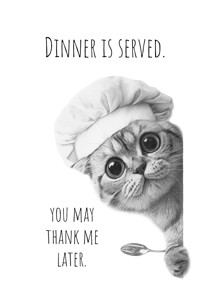 Dinner is served by cat chef