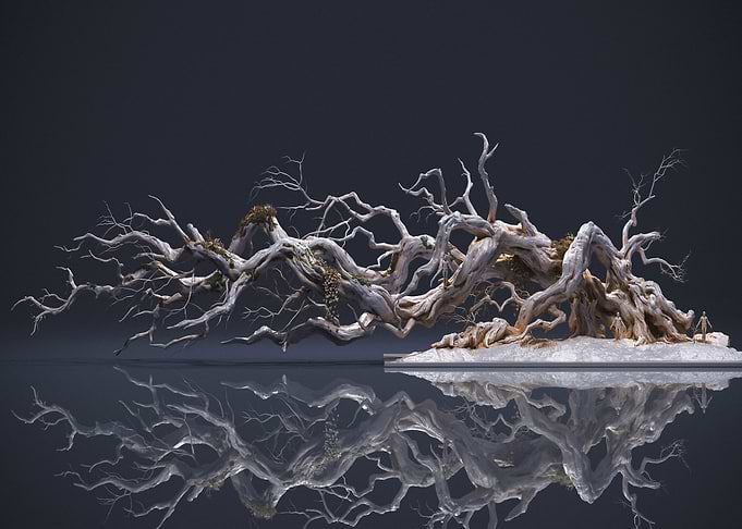 Gnarled Tree Reflection