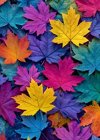Colorful Maple Leaves