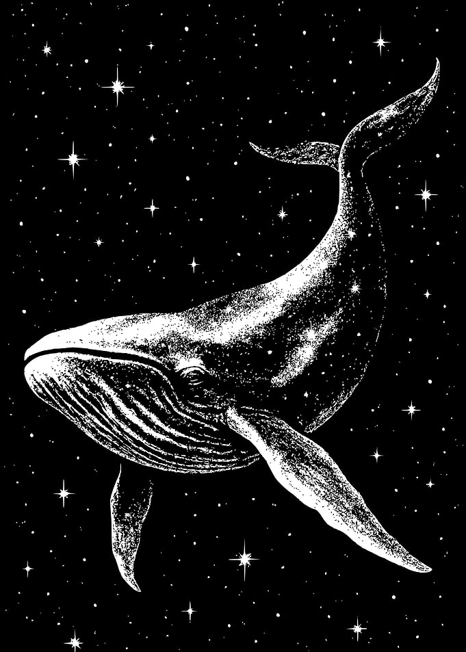 Whale in Space Black and White