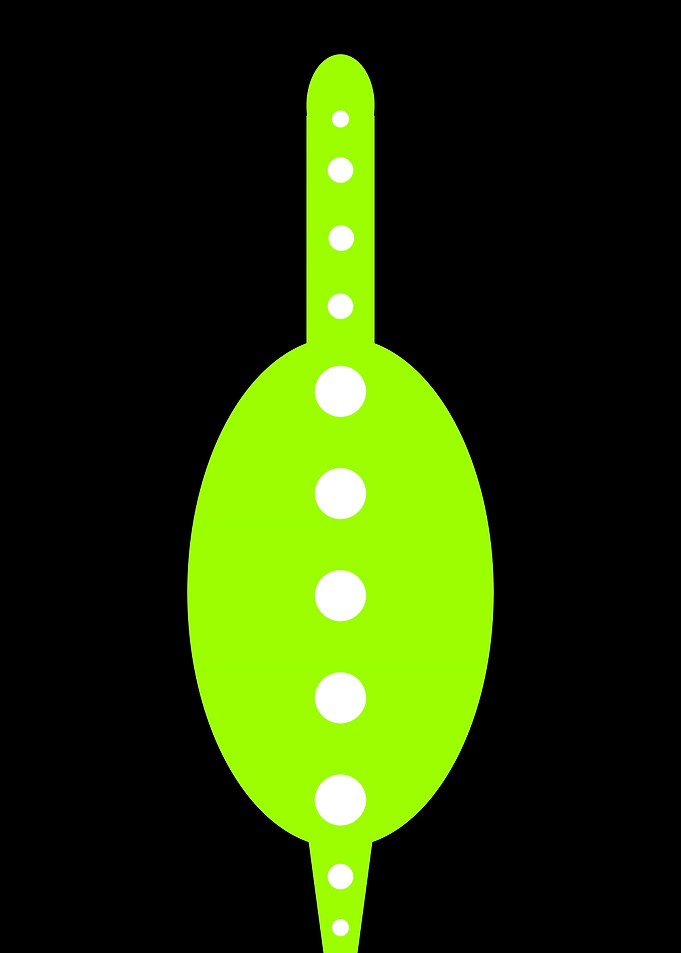 Diplodocus