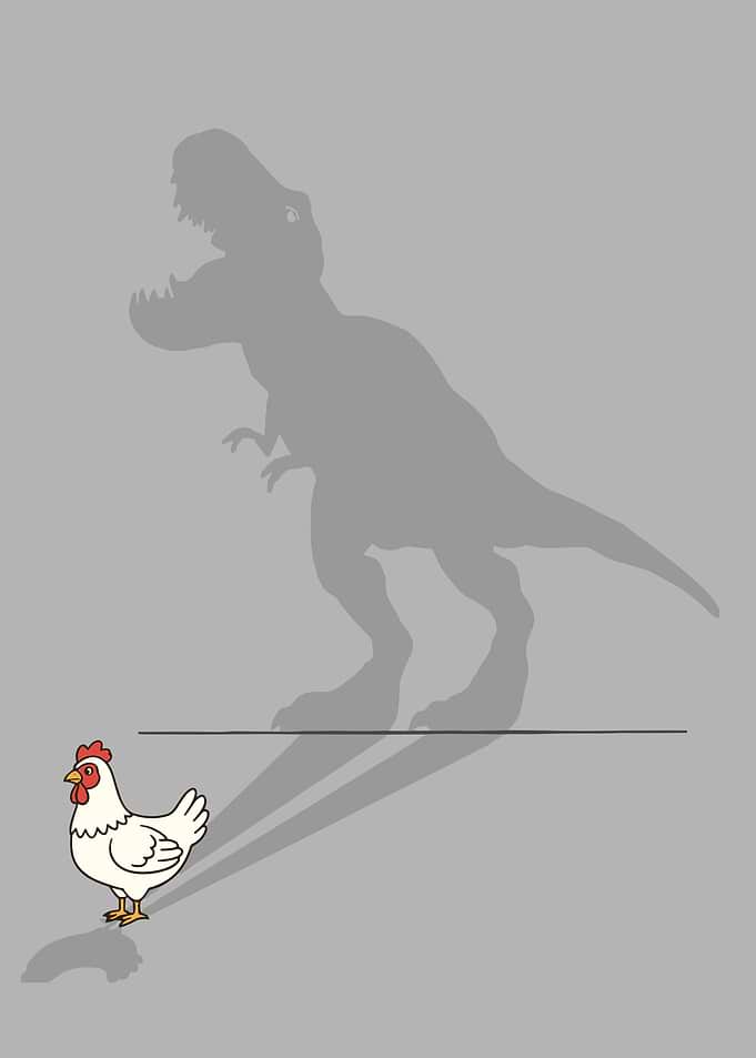 Chicken with Dinosaur Shadow
