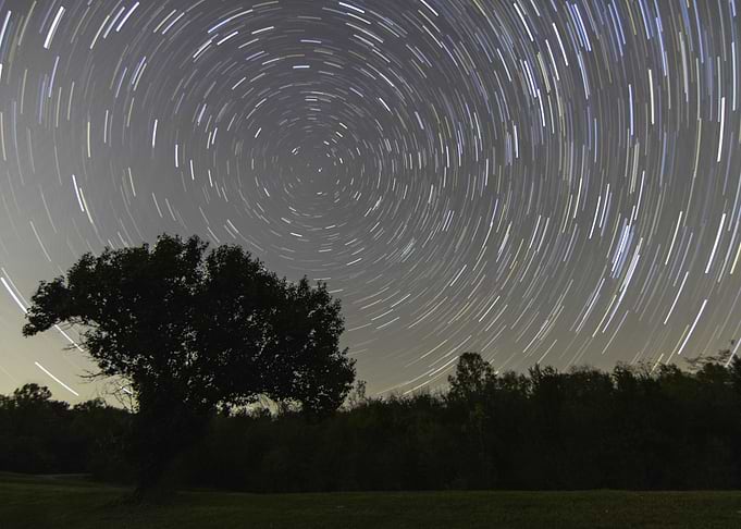 Star Trails Over Tree Silhouette