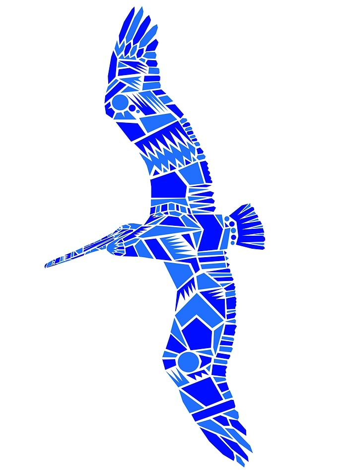 Vector Pelican
