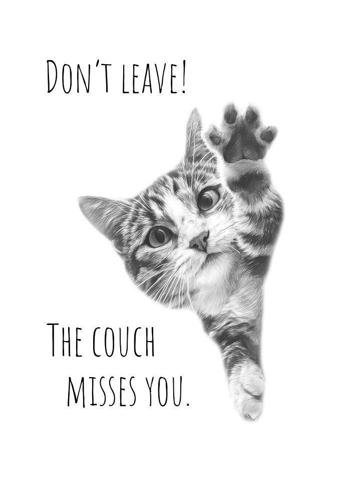 Don't Leave
