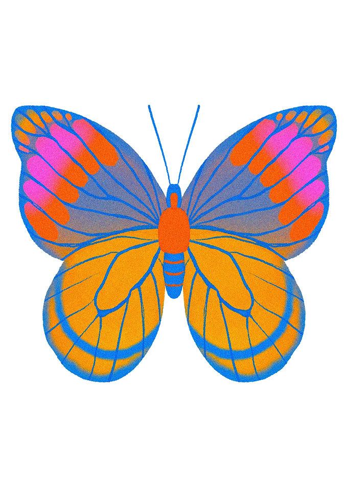 Colorful Butterfly Illustration