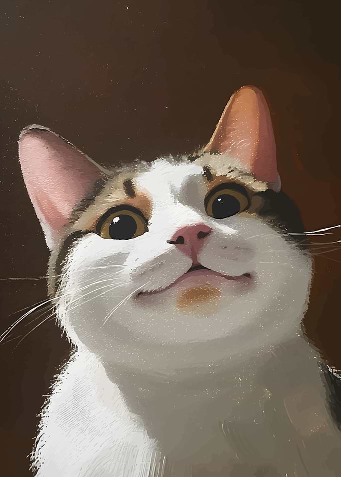 Curious Cat Looking Up