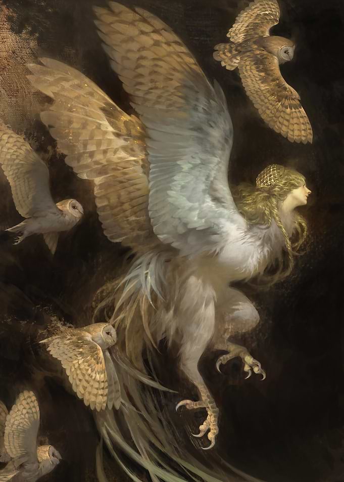 Harpy and Owls in Flight
