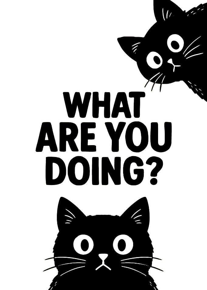 Black Cats Questioning What Are You Doing