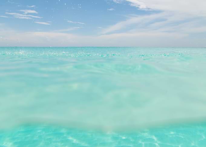 Dive into the Caribbean Sea 4