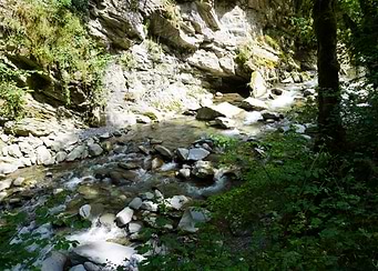 Latest drop