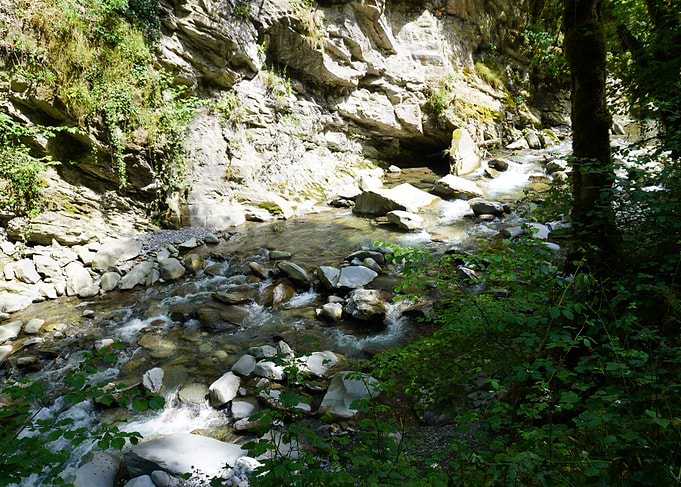Mountain Stream with Rocks and Vegetation