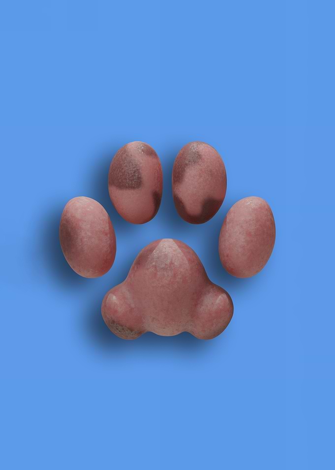 Cowprint Pink Cat Pawpads against a Soft Blue Background