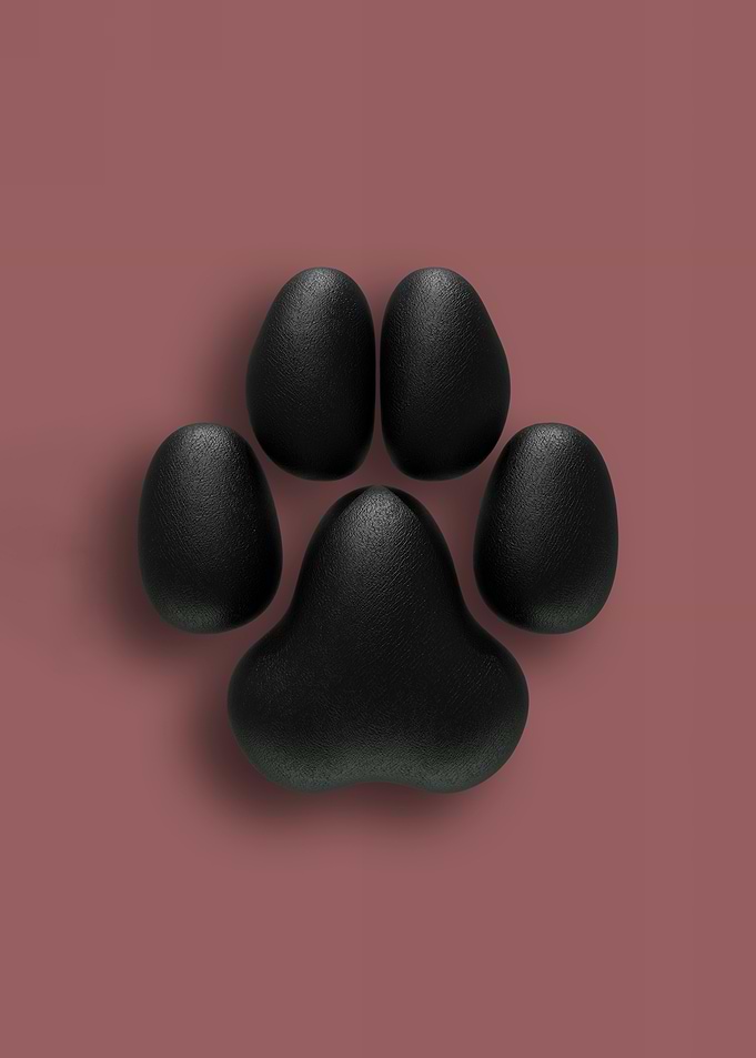 Black Dog Pawpads against a Muted Red Background