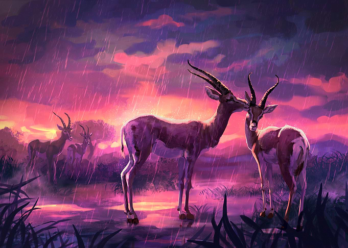 Gazelle
