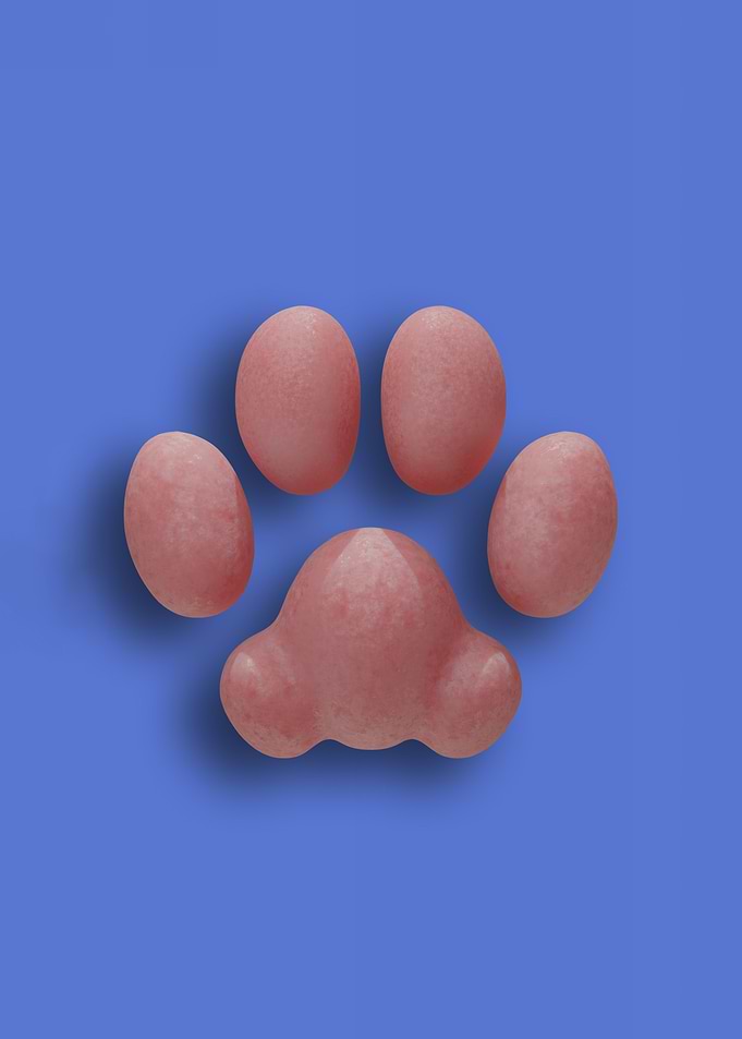 Pink Cat Pawpads against a Blue Background