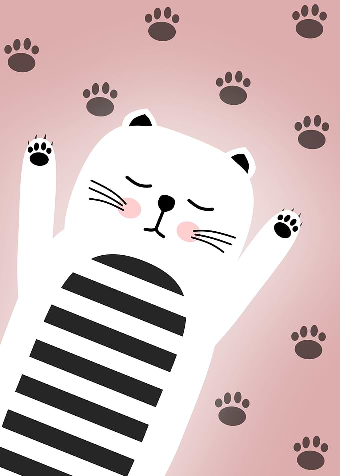 Cute Cat with Paw Prints Background