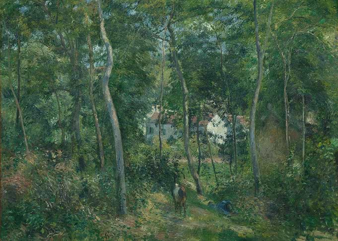 Forest Scene Painting