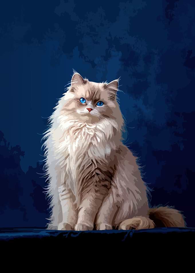 Elegant Ragdoll Cat Portrait