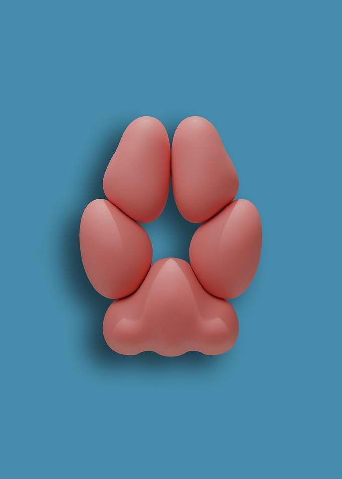 Pink Fox Pawpads against a Soft Blue Background