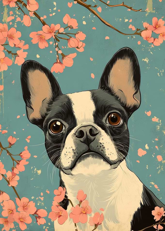 Boston Terrier with Cherry Blossoms Art | Boston terrier art