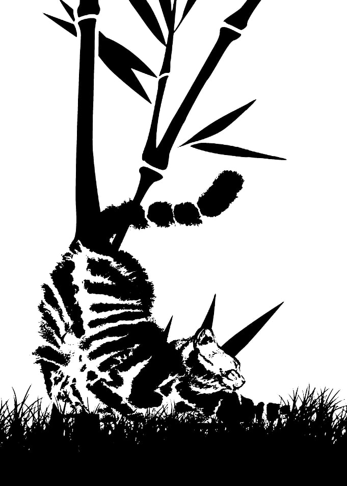 Black and White Cat with Bamboo