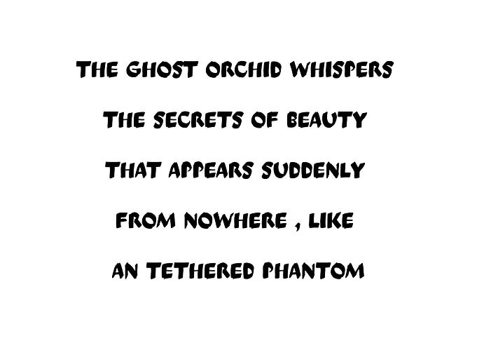 Ghost Orchid Whispers Text Art