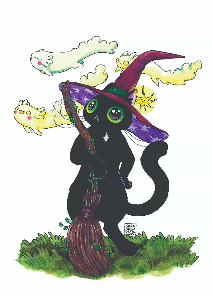 Whimsical Witch Cat with Broomstick