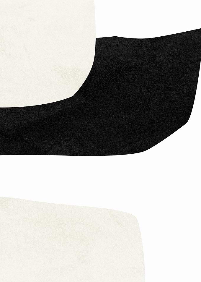 Abstract Black and White Shapes