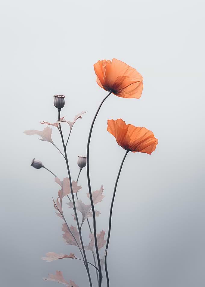 Poppy Flowers Light Gray