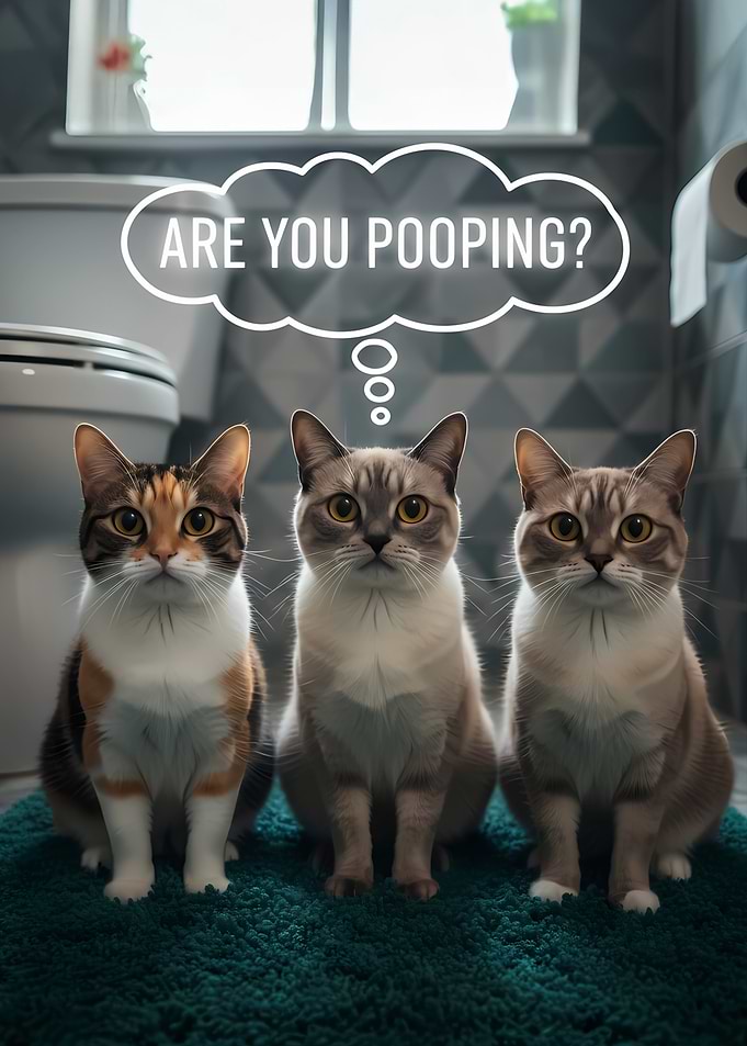 Three Cats in Bathroom with Thought Bubble