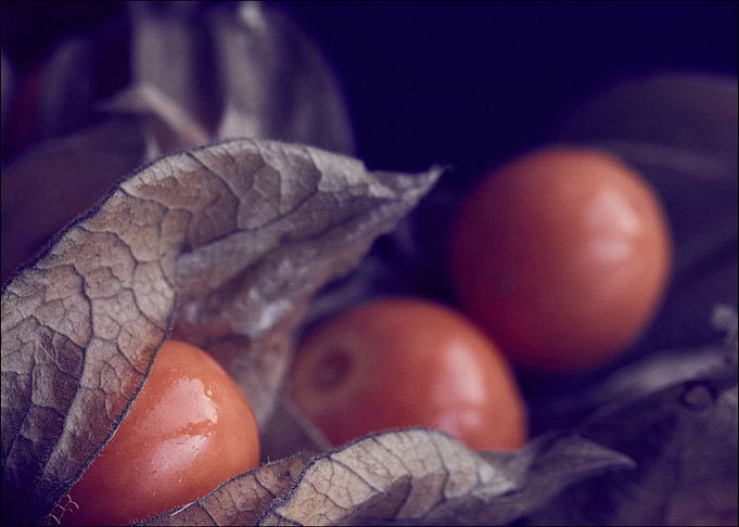 cherry Fruit