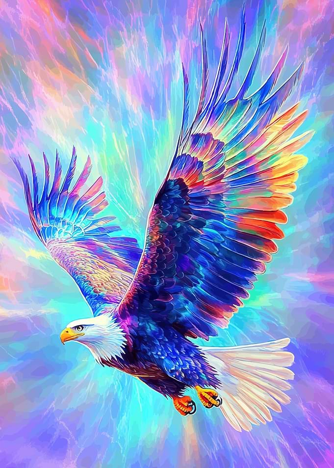 Colorful Eagle Flight