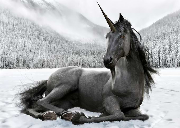 Black Unicorn Resting in Snowy Landscape