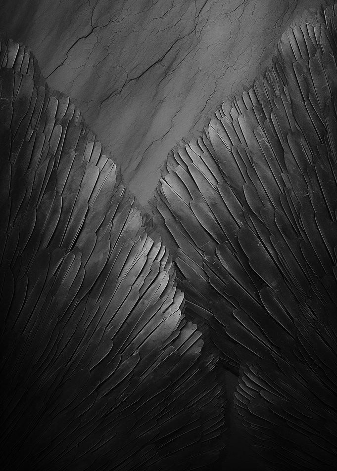 Black Feathers Texture Art