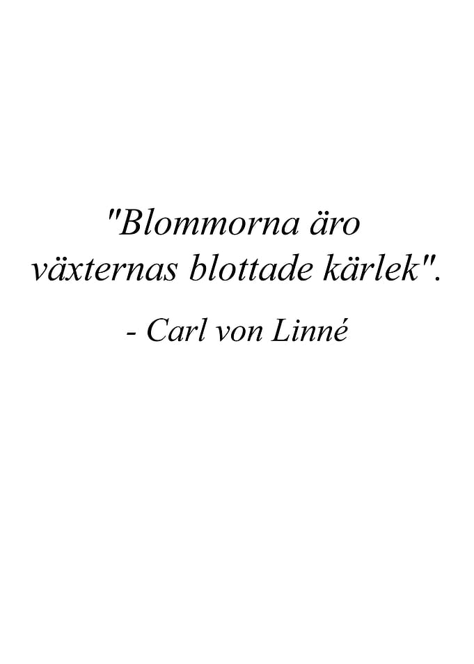 Carl von Linné quote about flowers
