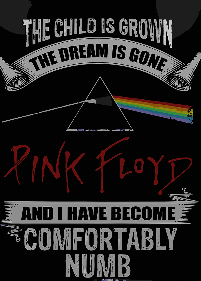 Pink Floyd Comfortably Numb Graphic