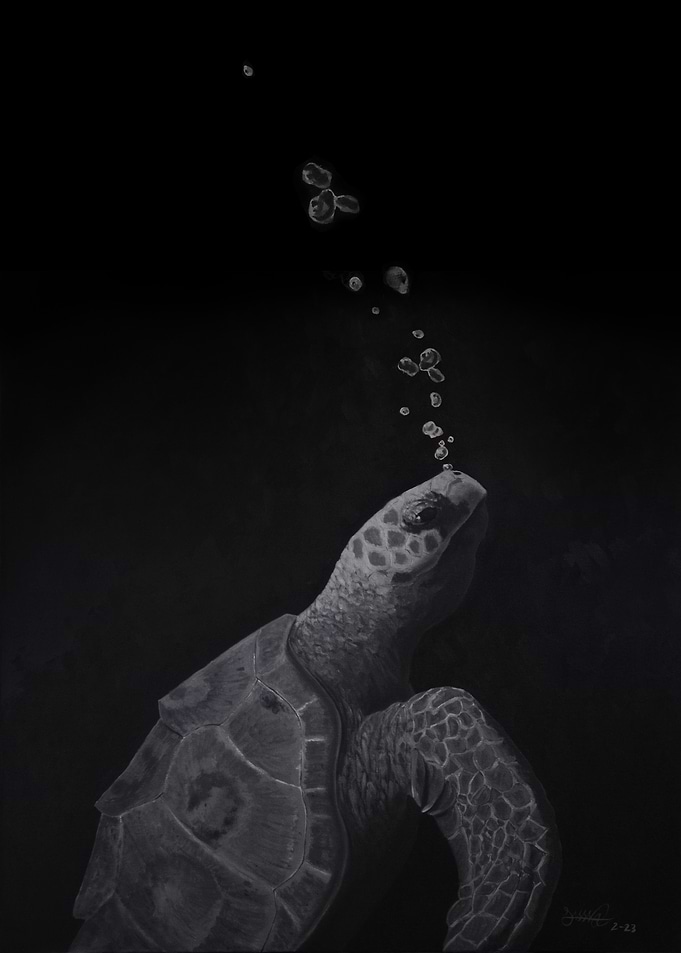 Sea Turtle Ascending in Dark Water