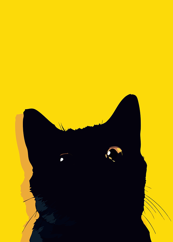 Black Cat on Yellow Background