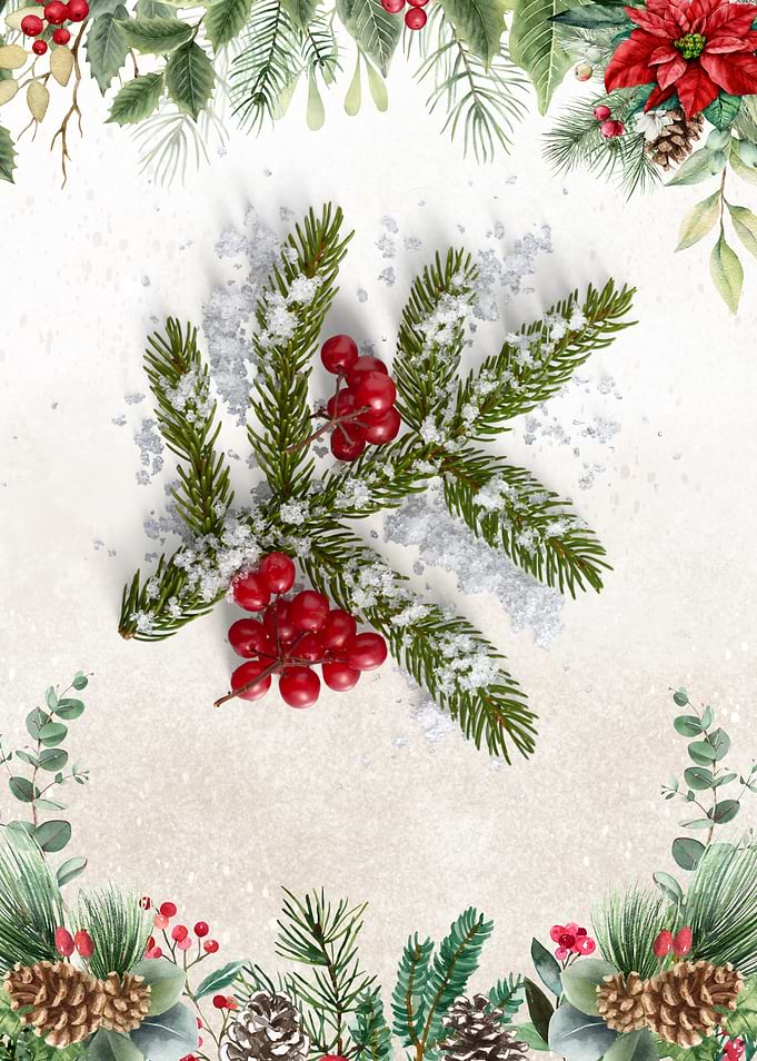 Christmas greenery with berries and snow