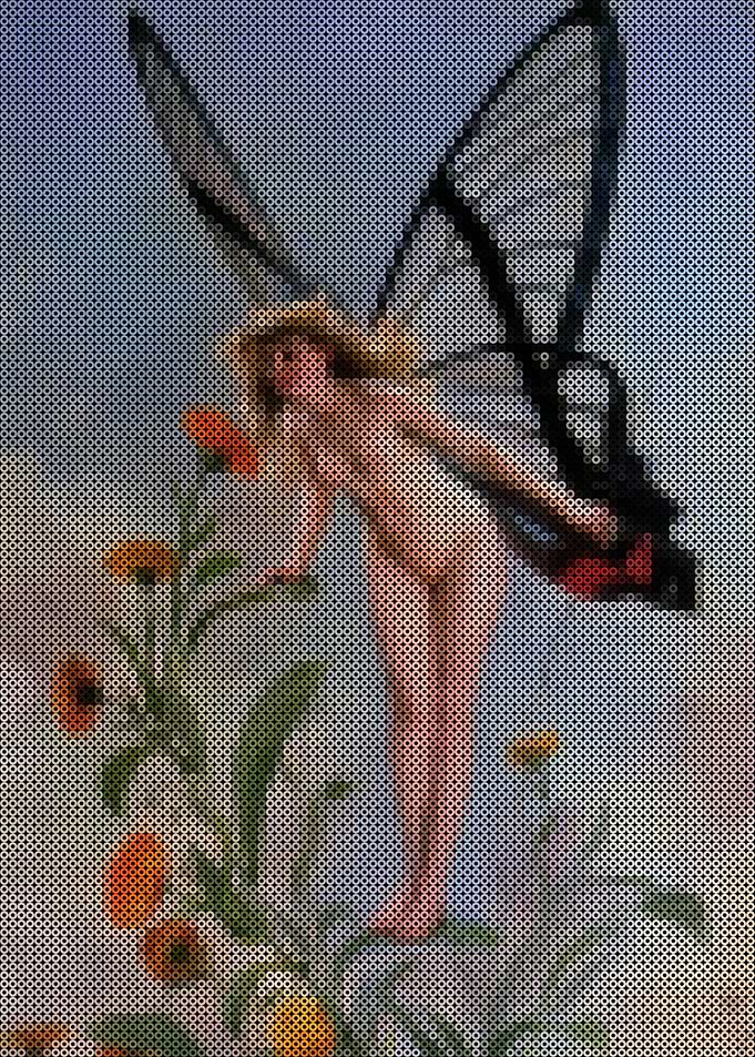 The Butterfly