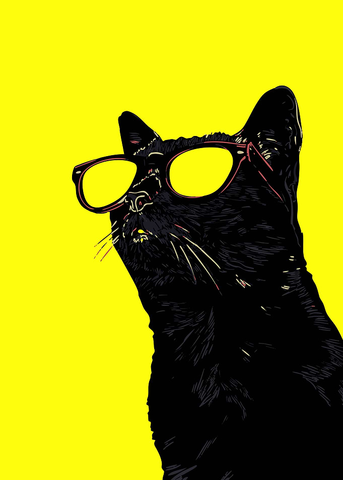 Cool Cat with Glasses on Yellow
