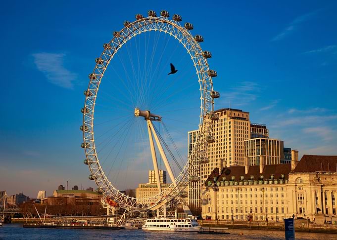 London Eye with Bird in Flight
